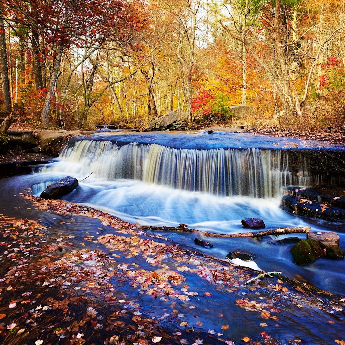Coney Brook Trail