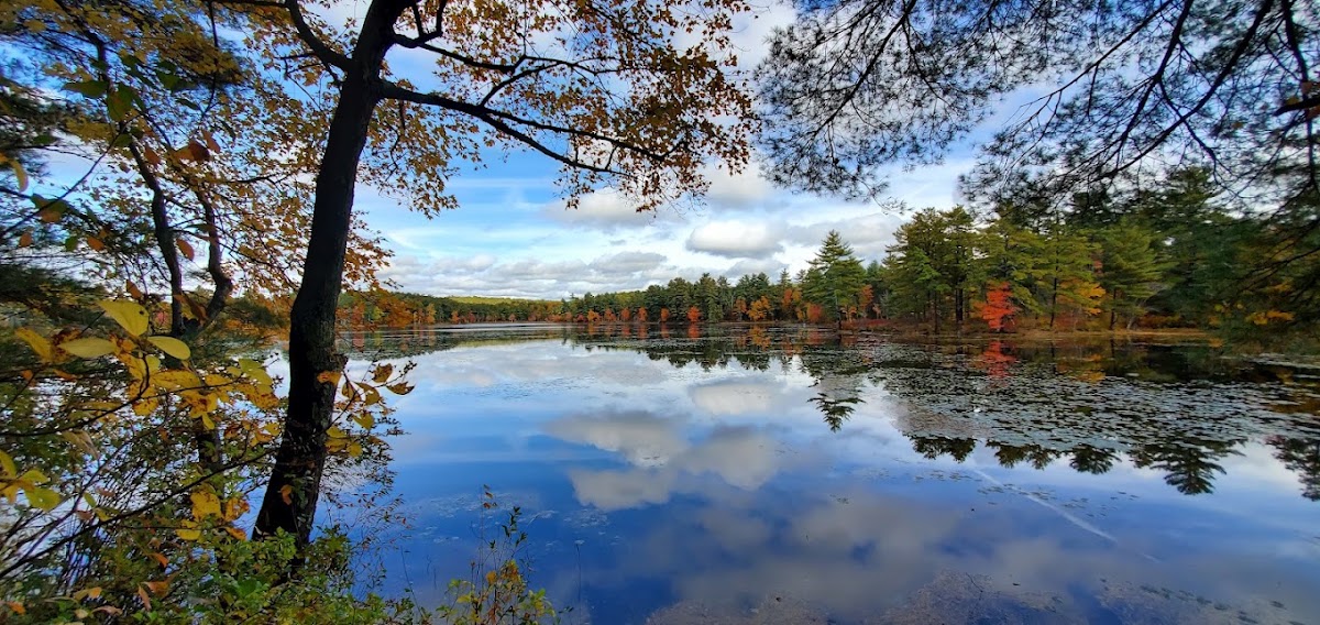 Tillinghast Pond Trail