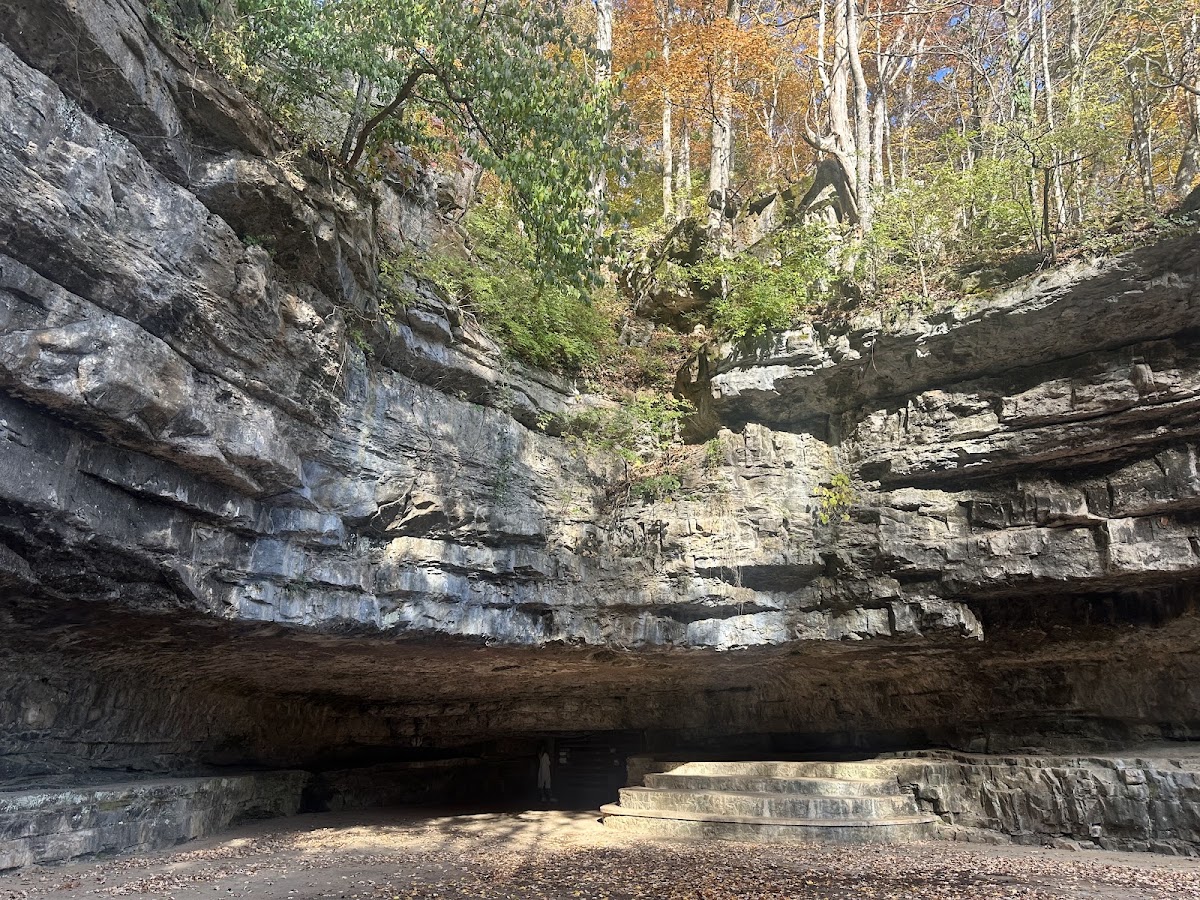 Barnett's Cave