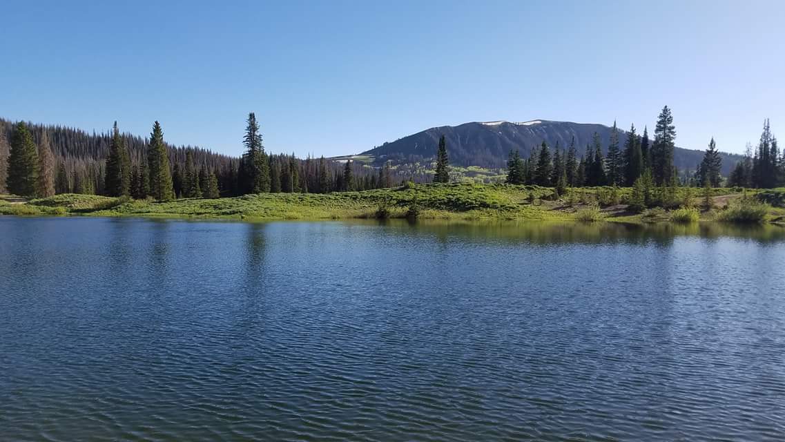 Chalk Creek