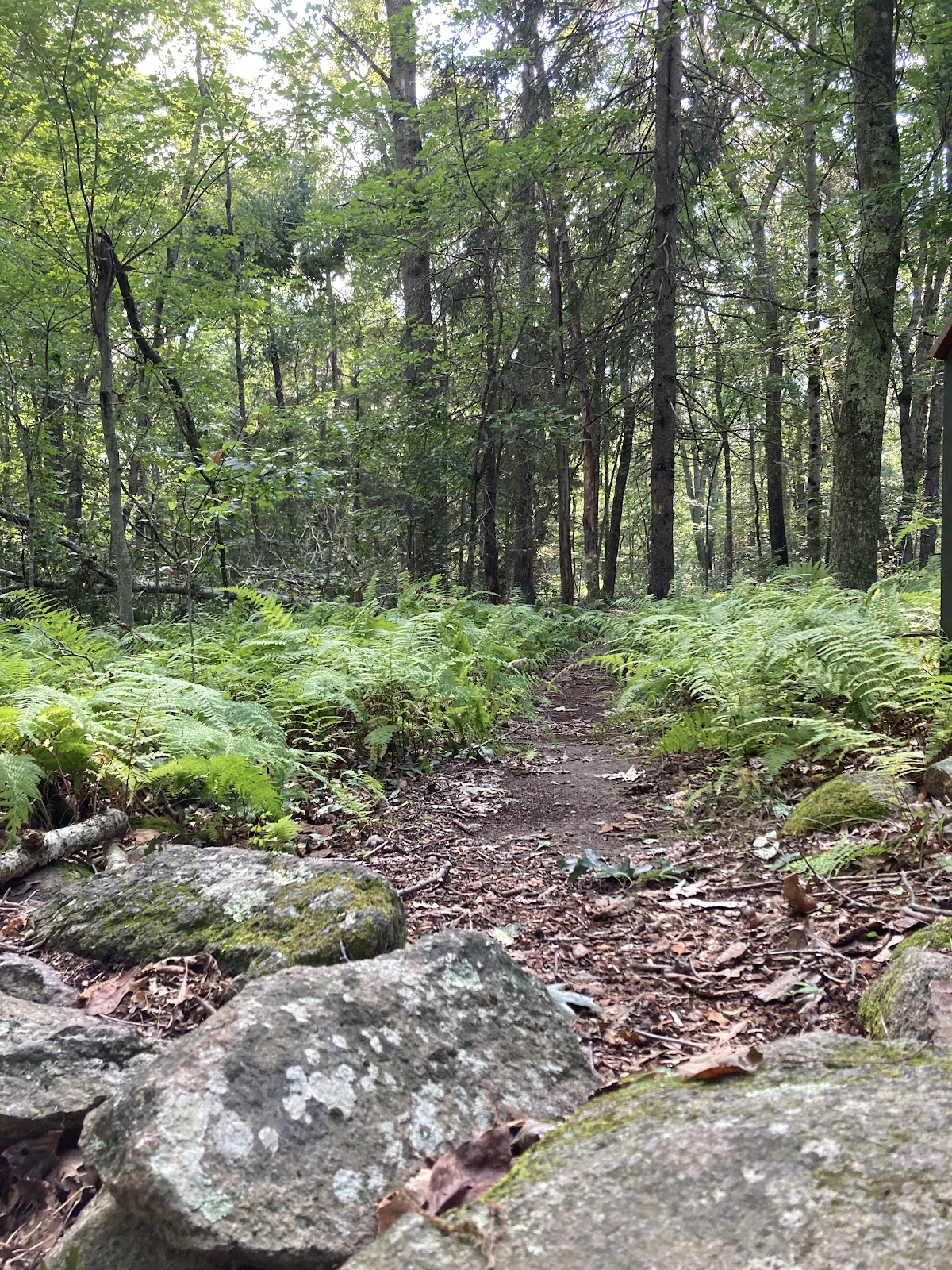 Red Trail
