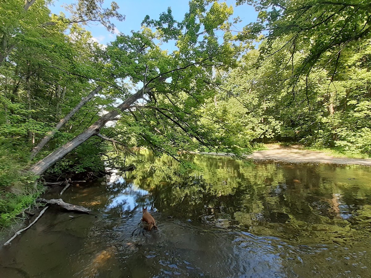 Wappinger Creek