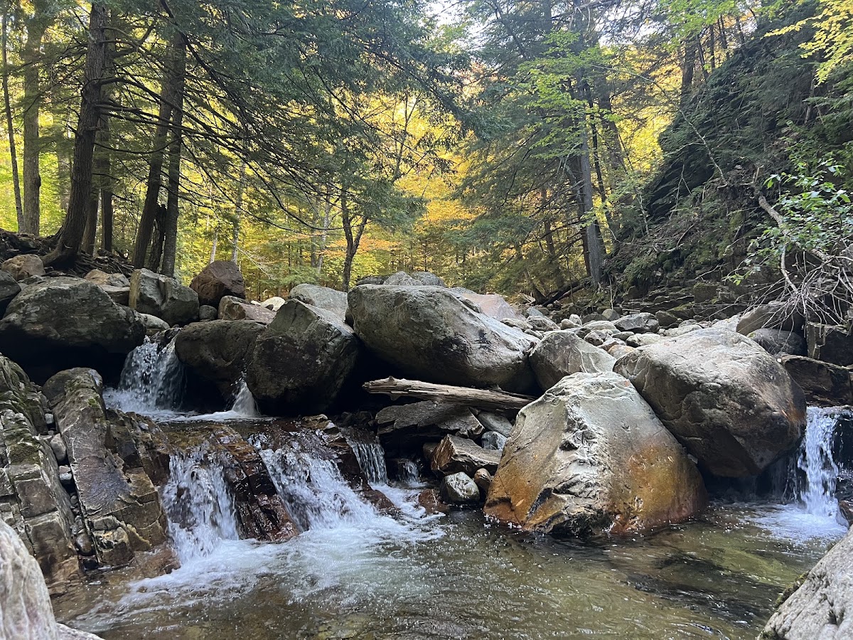 East Dorset Trail
