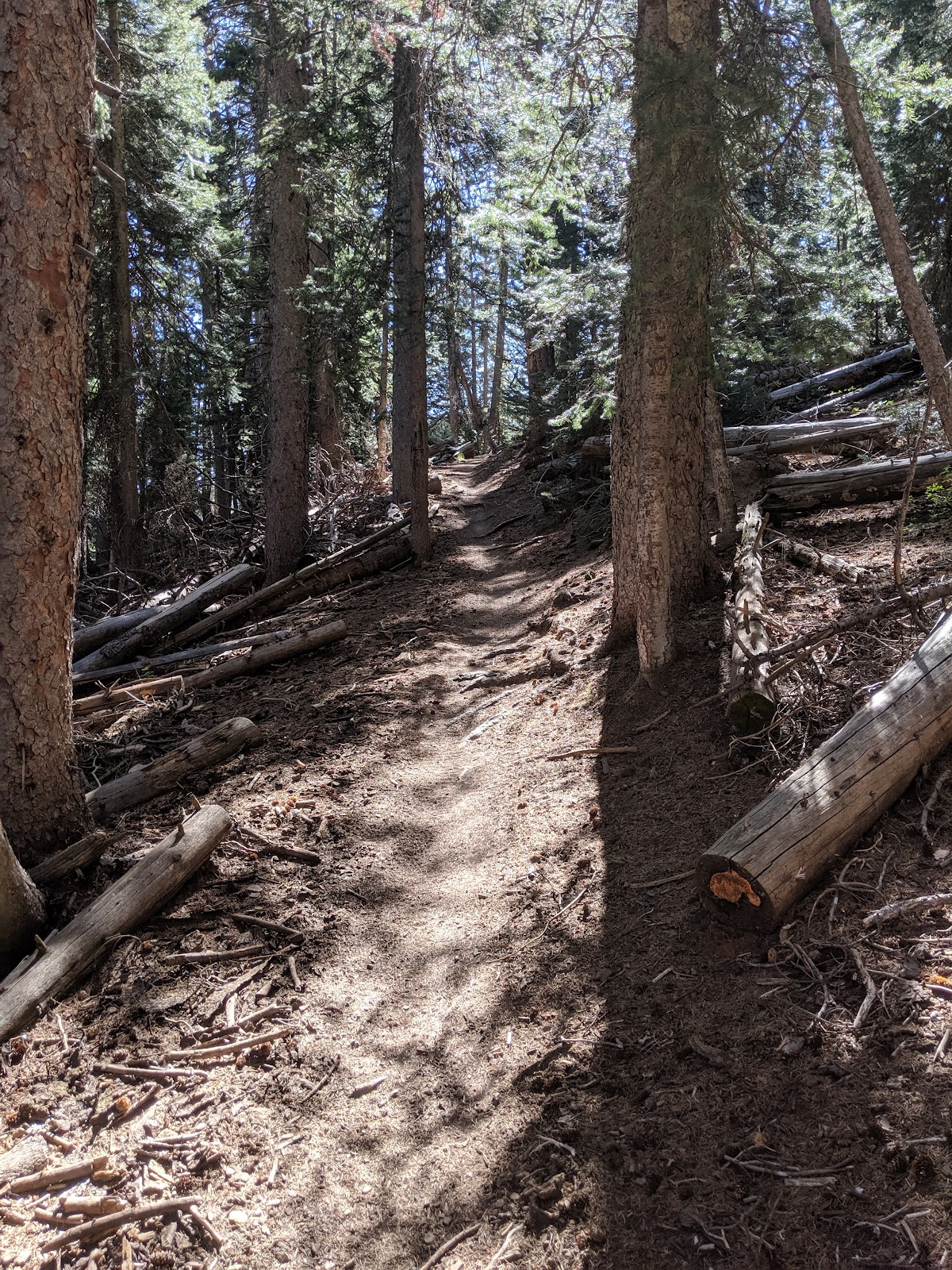 Robertson Pasture Trail