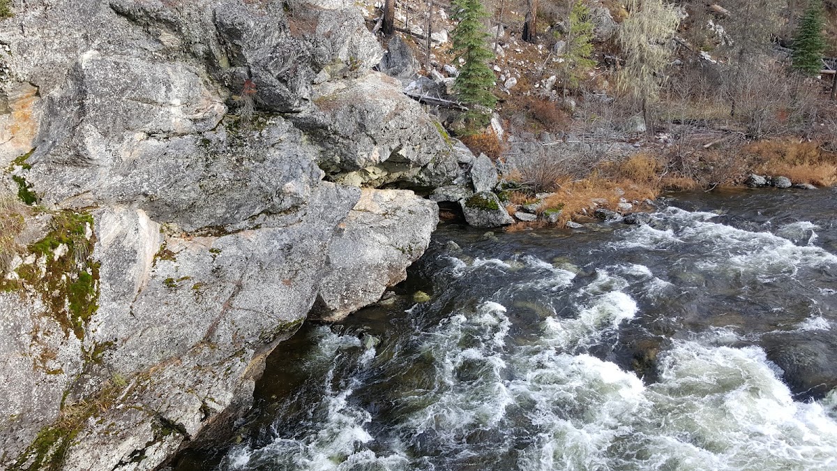 Colt Killed Trail