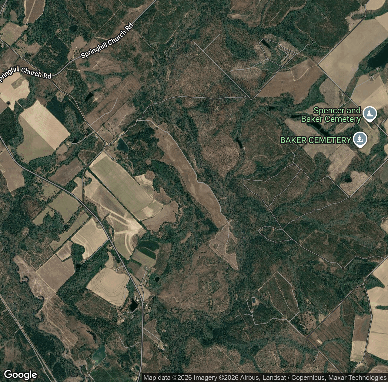 Alligator Creek