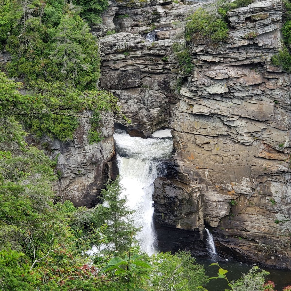 Plunge Basin Trail