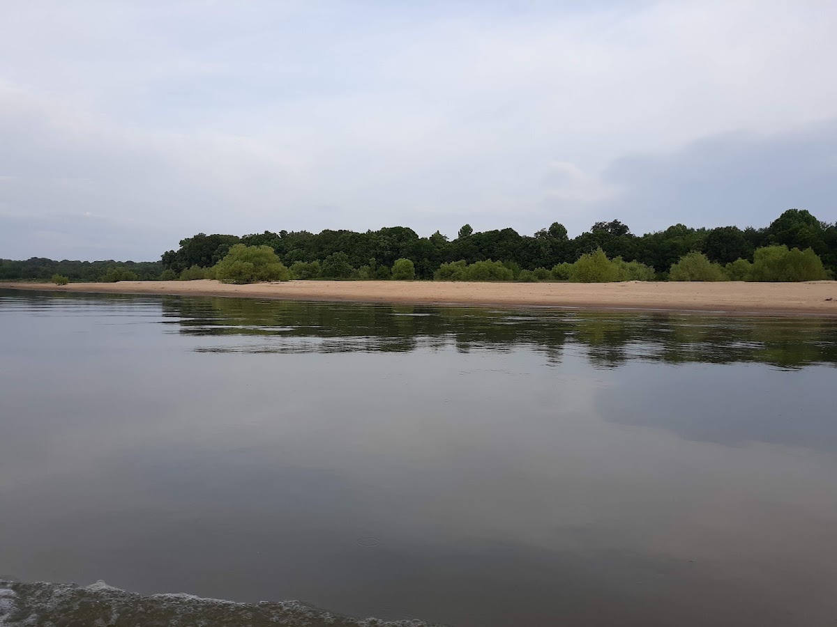 Altamaha River