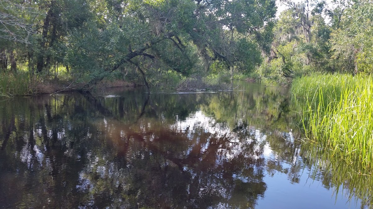 Lake Rosalie