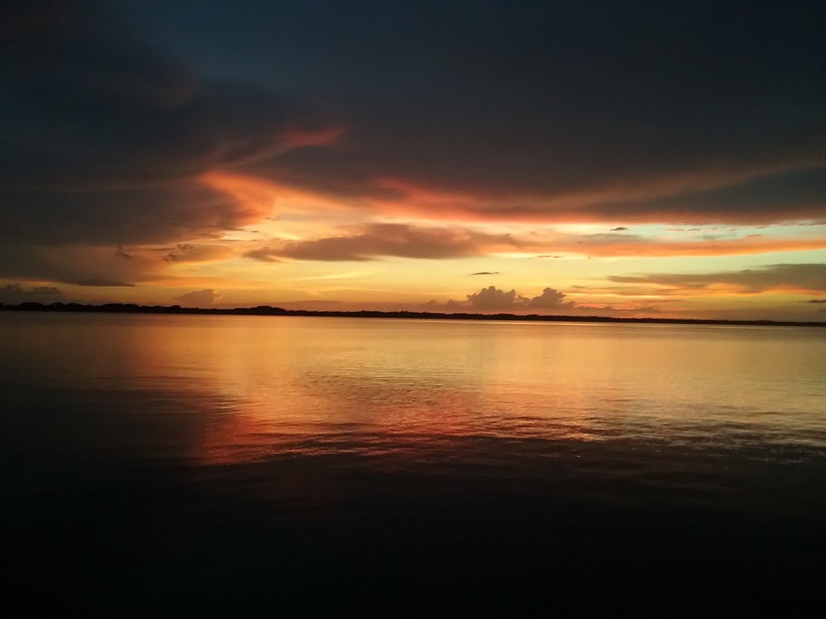 Tiger Lake