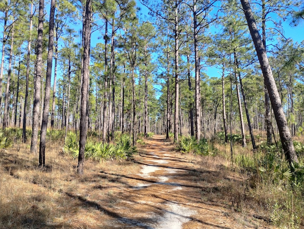 Tuxachanie Trail