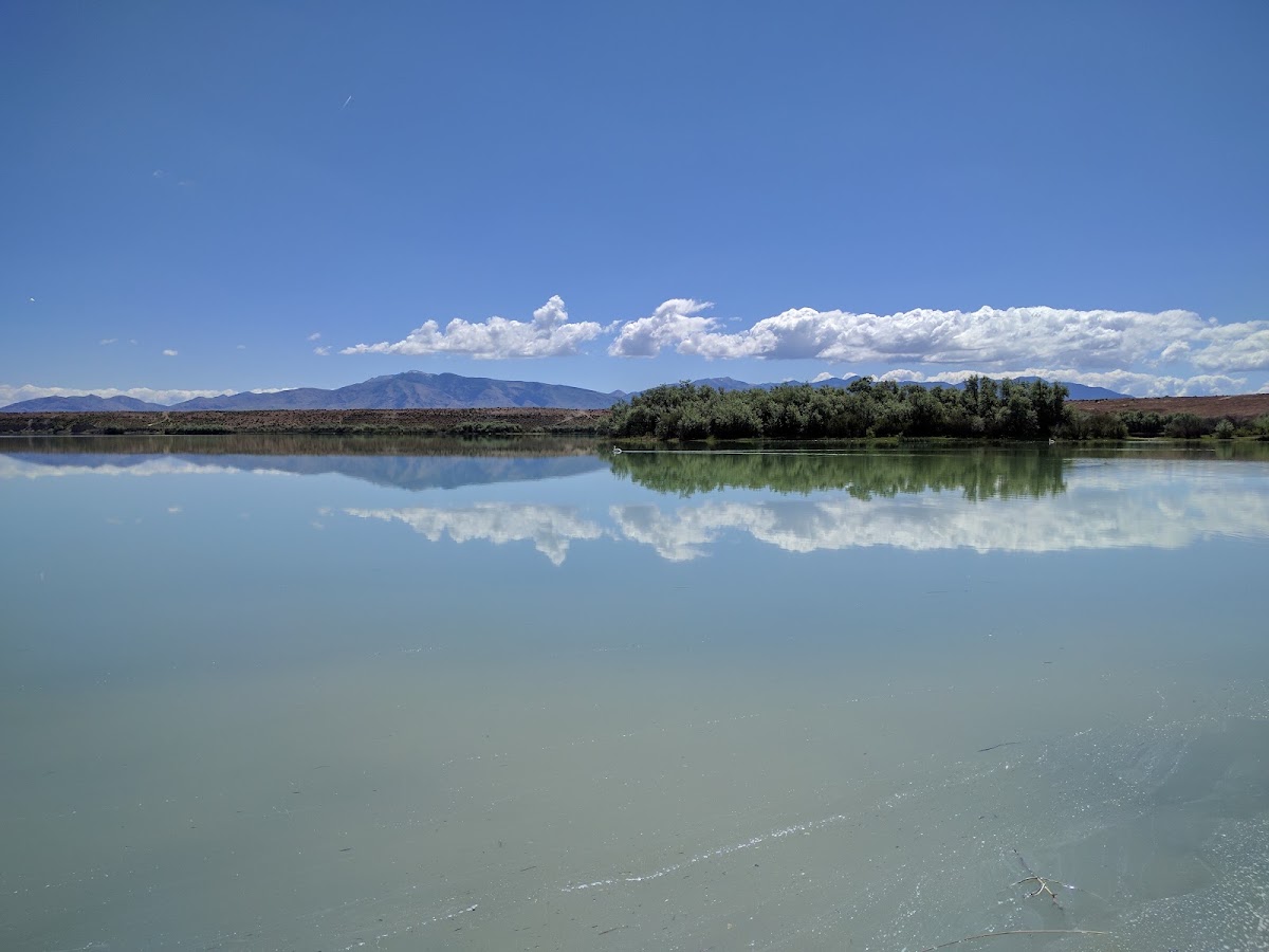 D M A D Reservoir