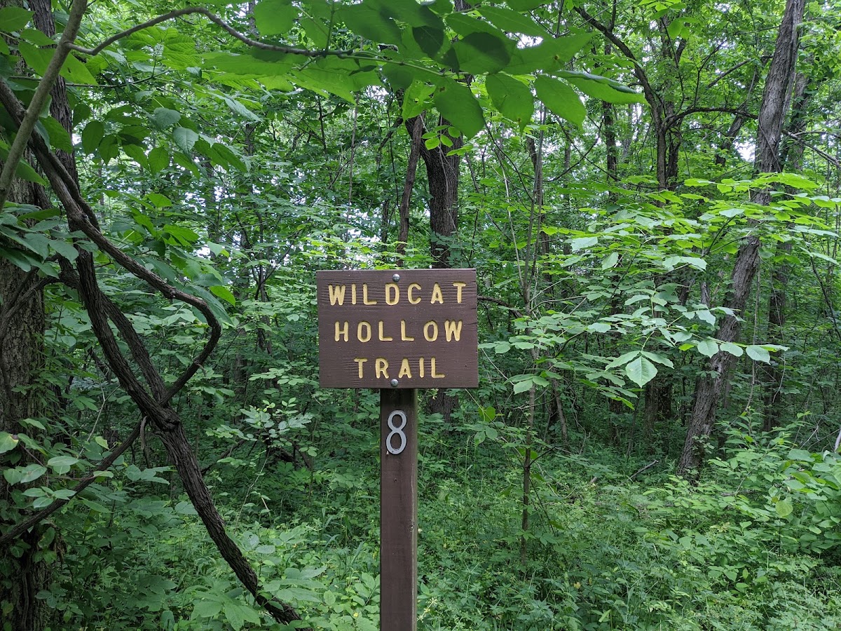 Wildcat Hollow Trail