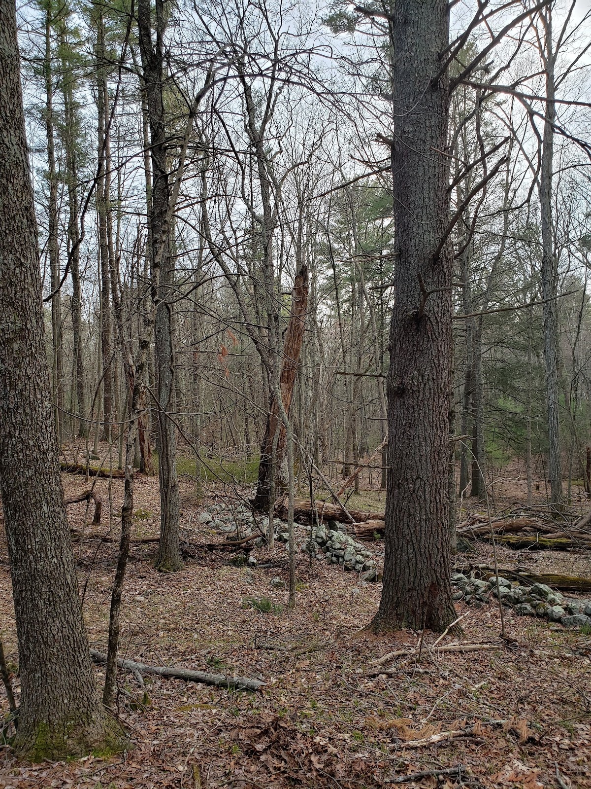 Thoman Land and Nature Preserve