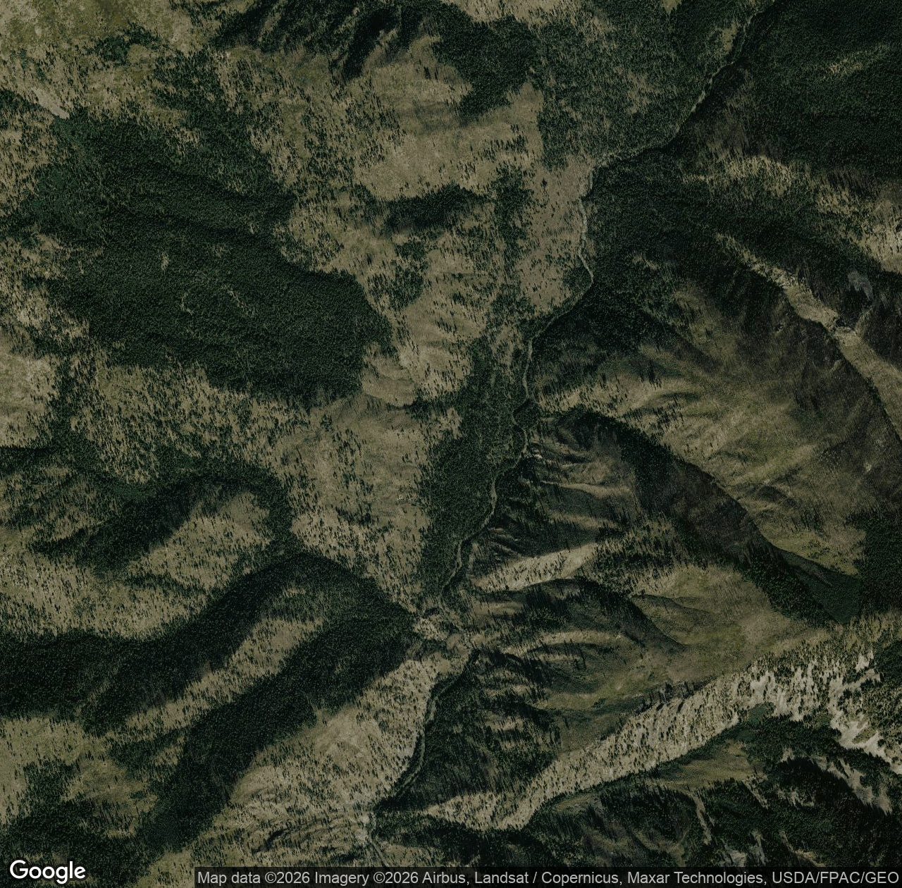 Bargamin Creek Trail