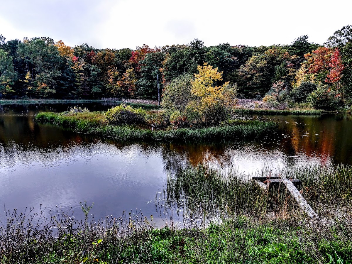Potomac Ponds Trail