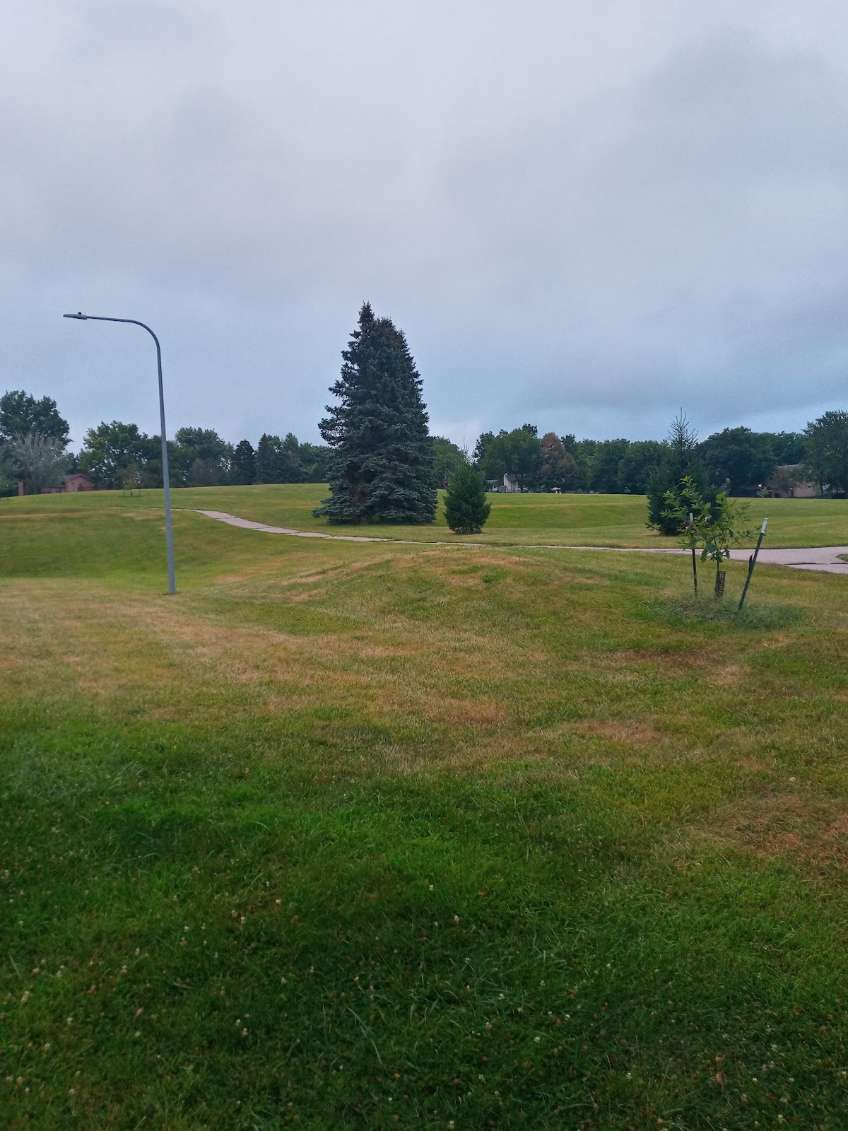 Willow Wood Park