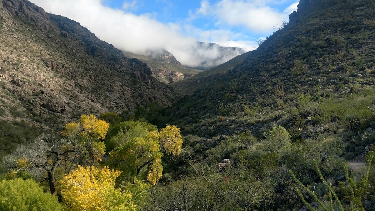 Oilver Lee Memorial State Park