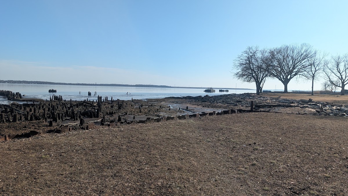 Broad Dyke Wetlands Natural Area