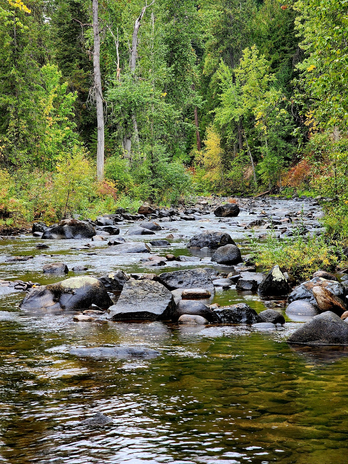 Sheep Creek
