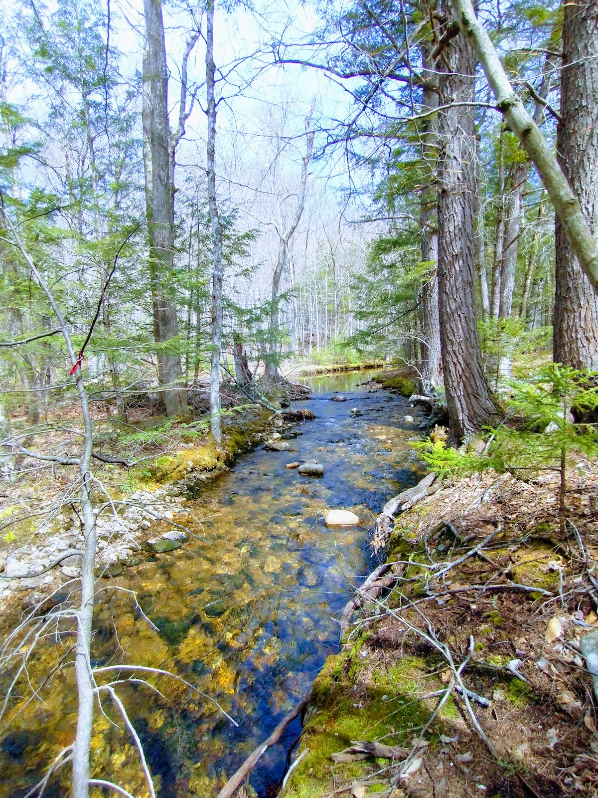 Cold Brook