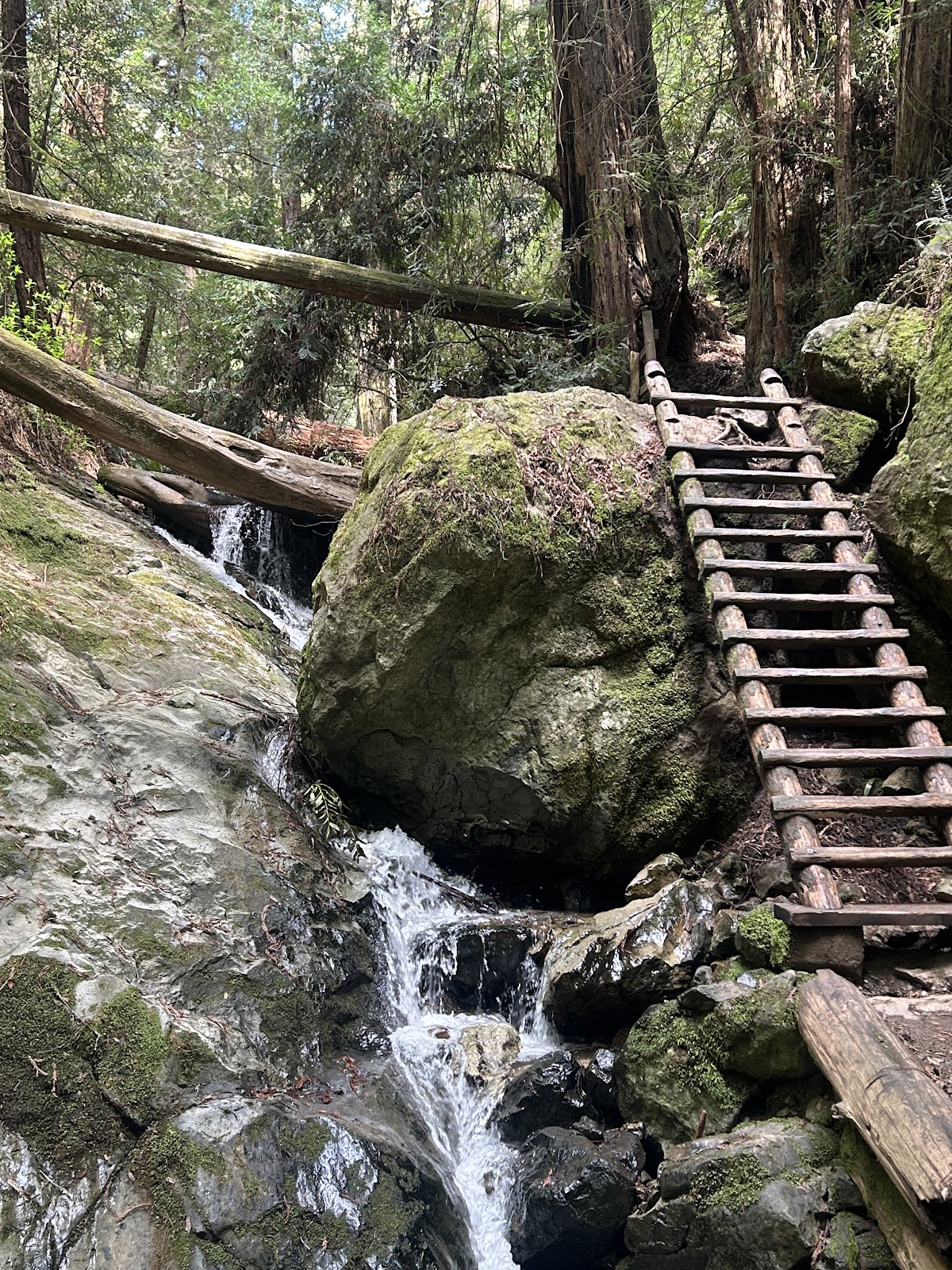 Lowest Tide Only - path to steep ravine