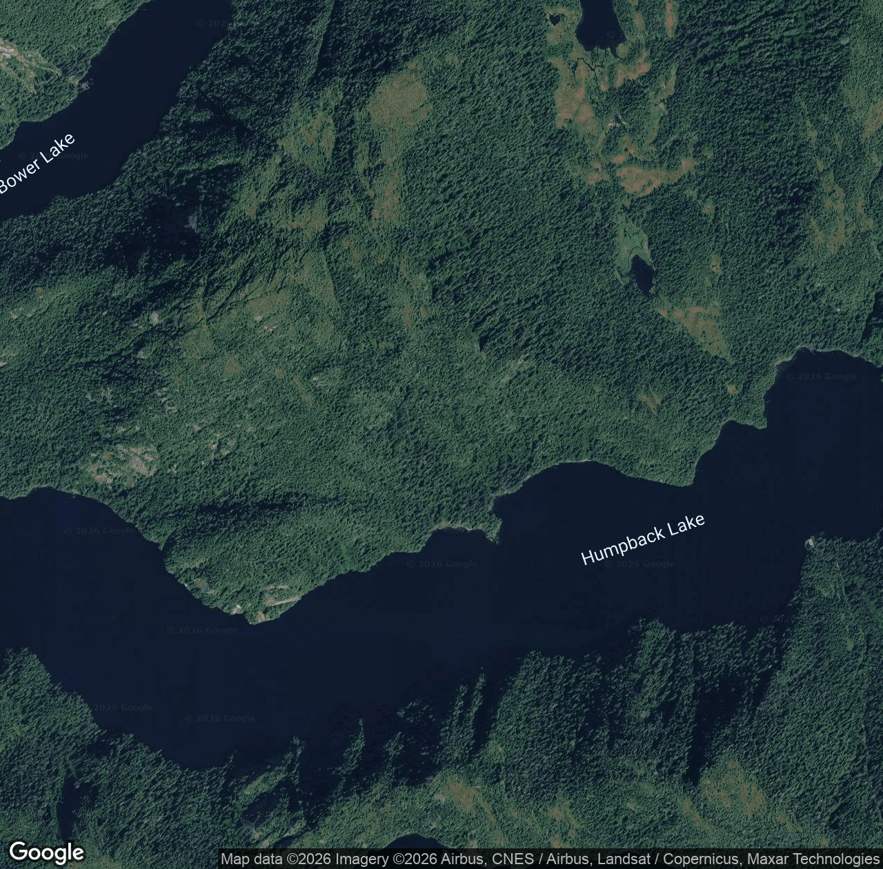Humpback Lake