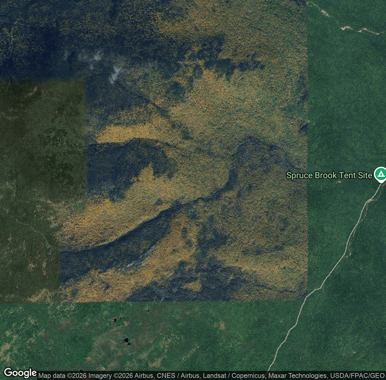 Spruce Brook