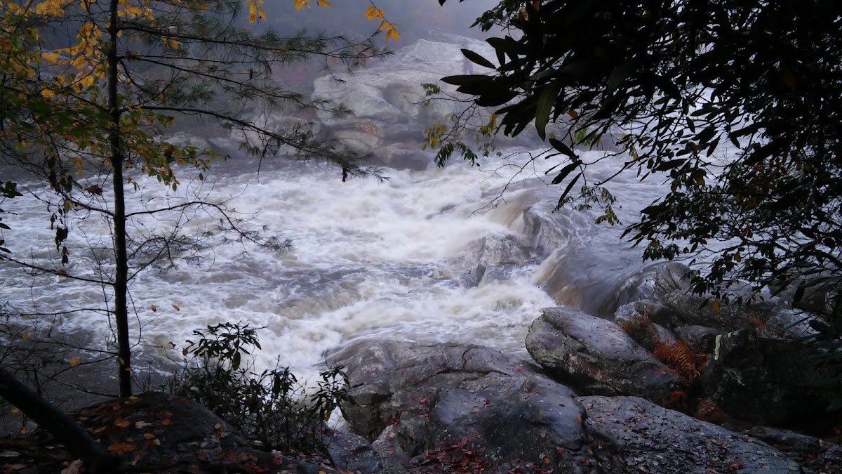 Bull Sluice Road
