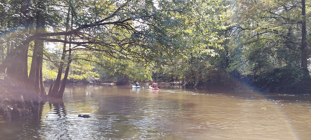 Kinchafoonee Creek