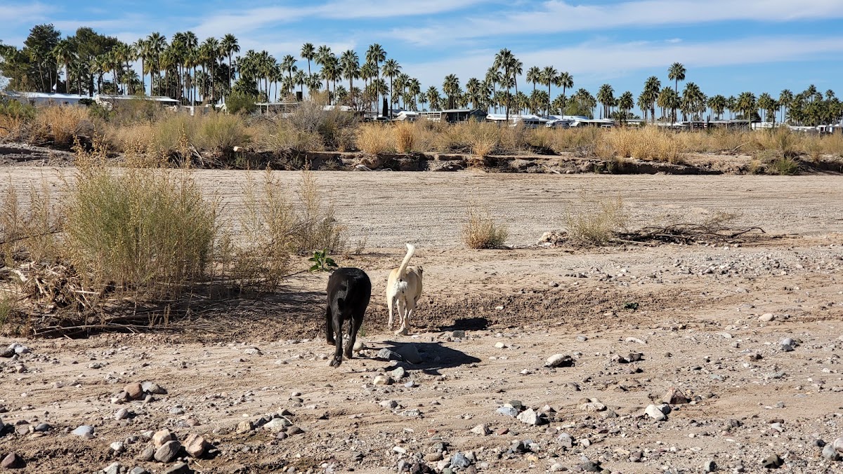 Pantano Wash