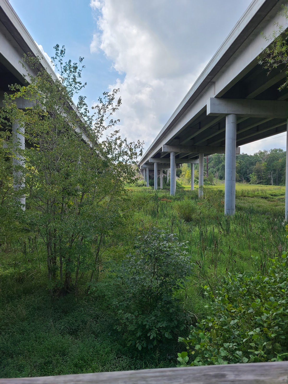 White Oak Creek Greenway