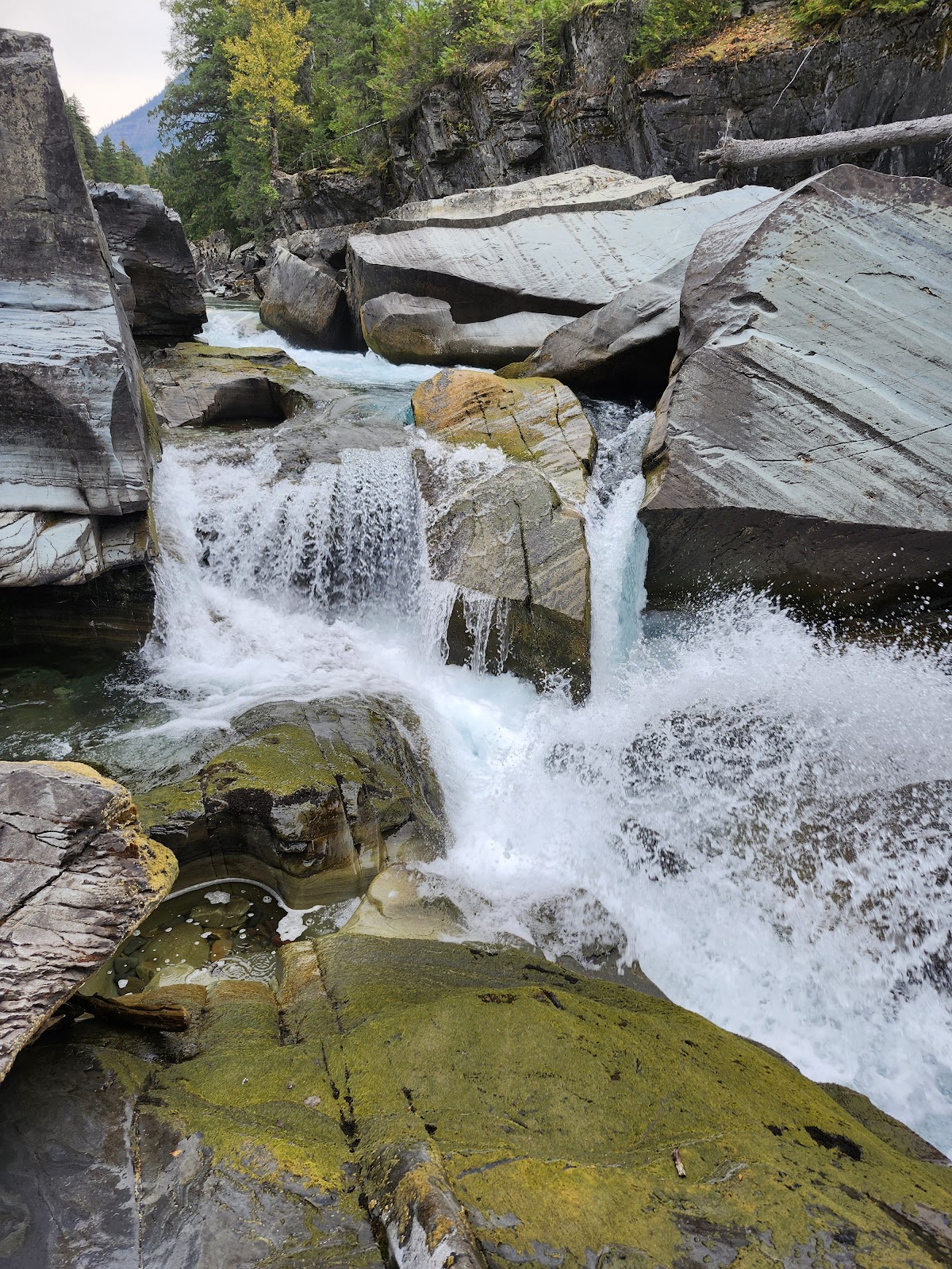 Upper McDonald Creek Trail
