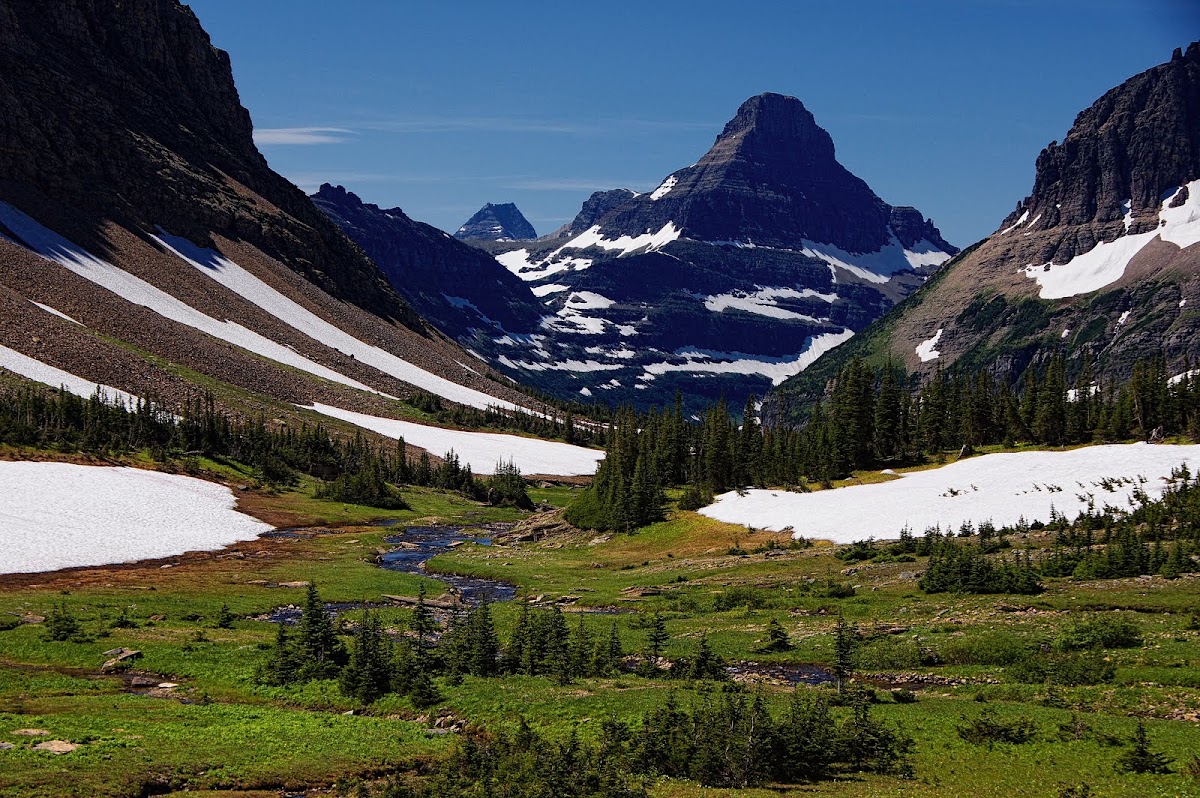Piegan Pass Trail