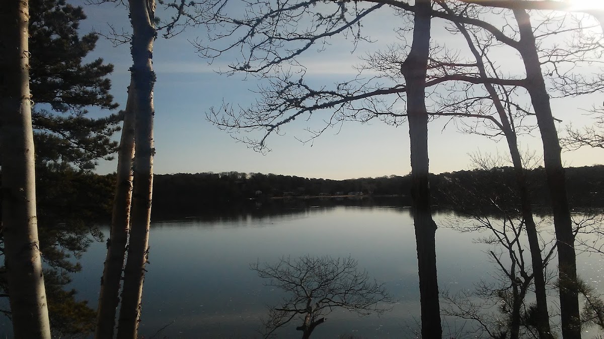 Follins Pond