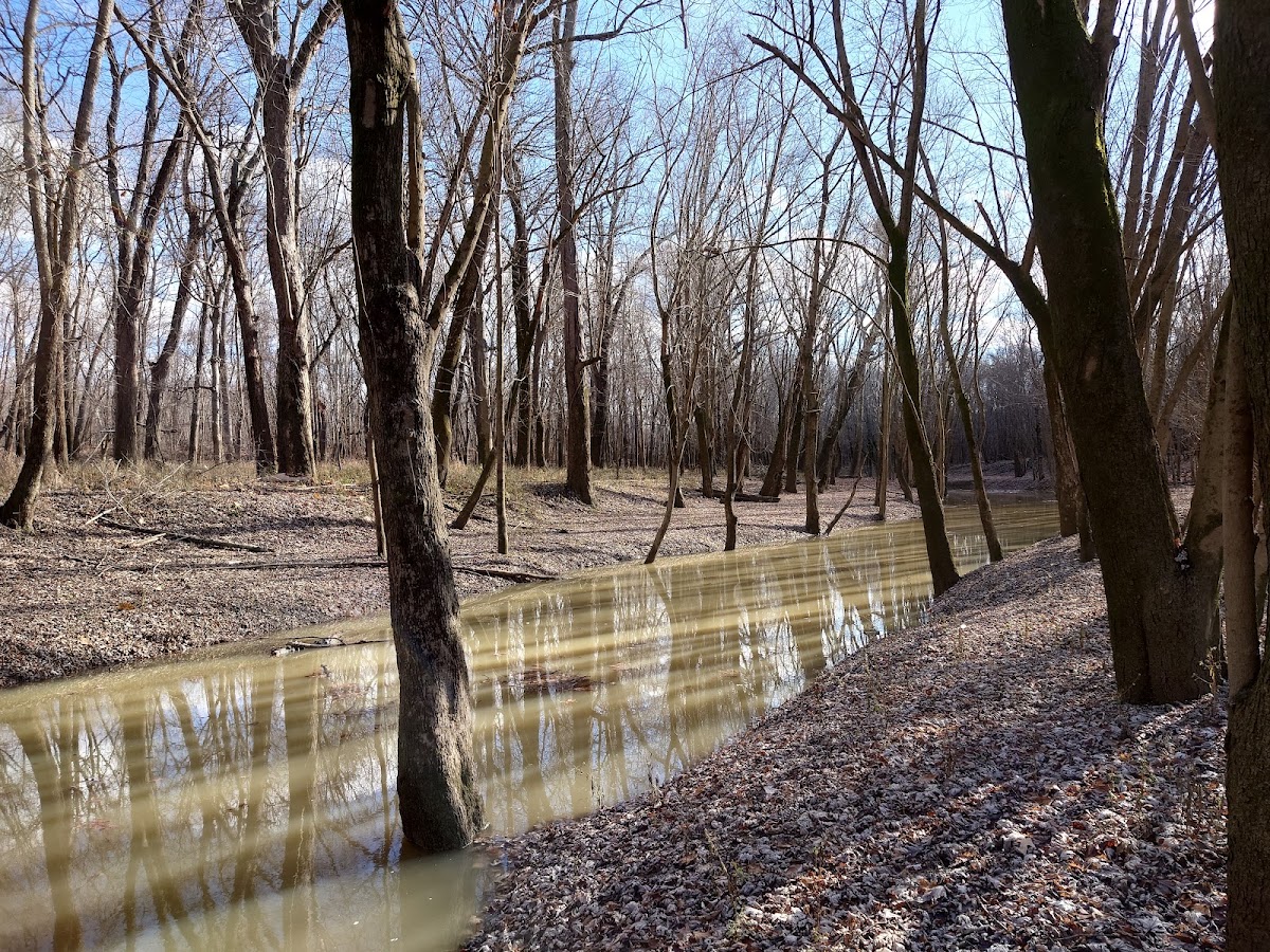 North Fork Saline River