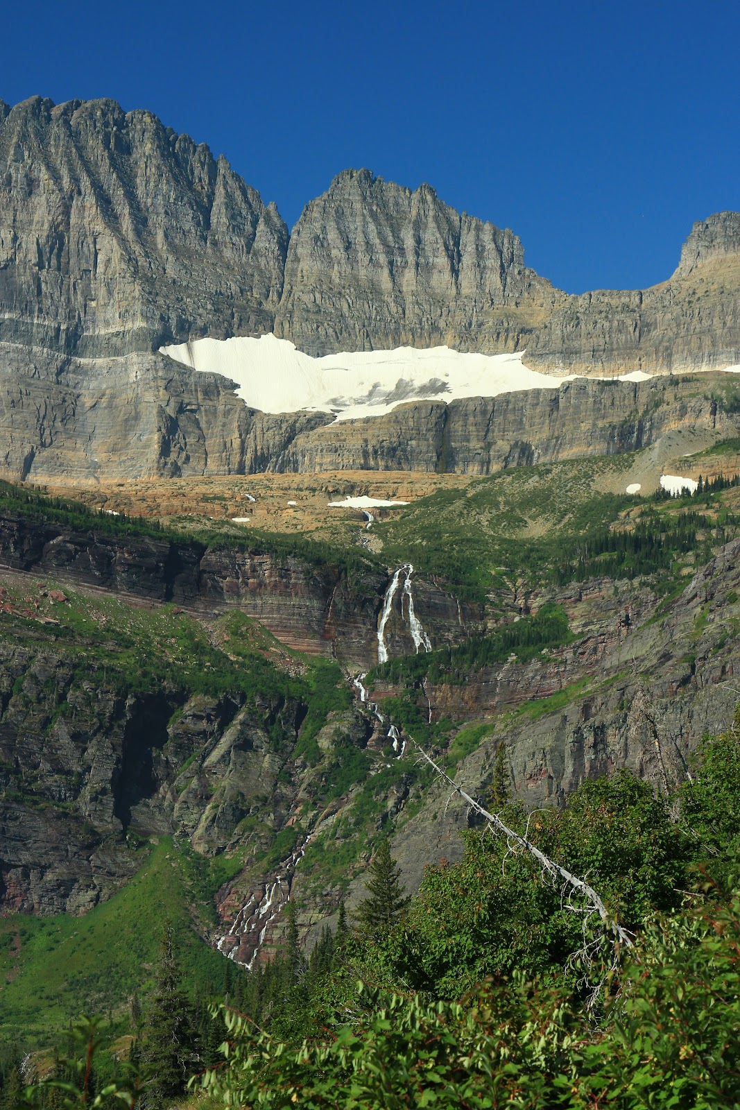 Salamander Glacier