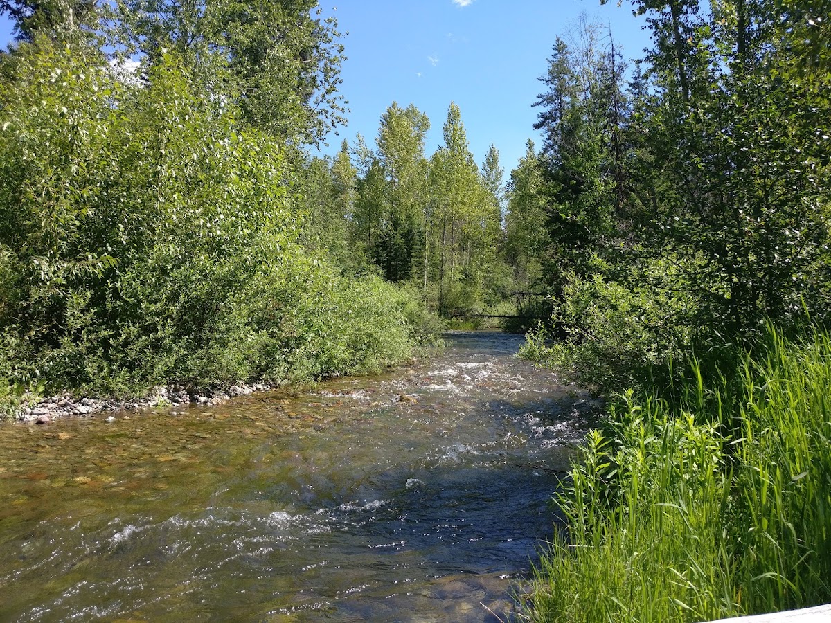 Logging Creek