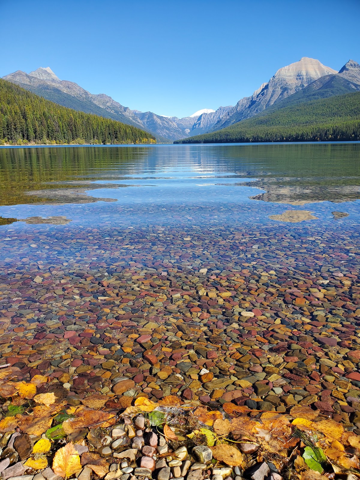 Bowman Lake