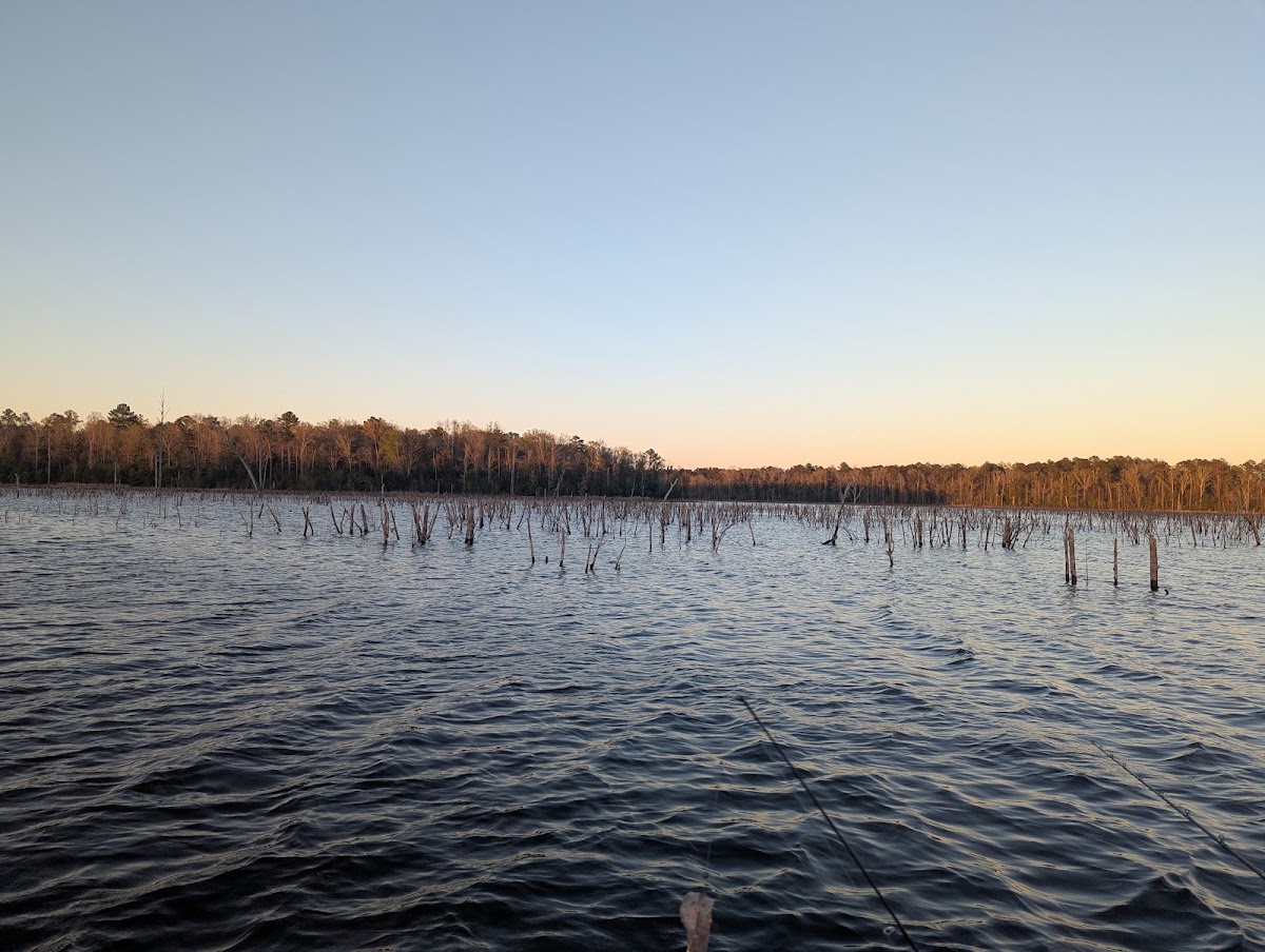 Tired Creek Lake
