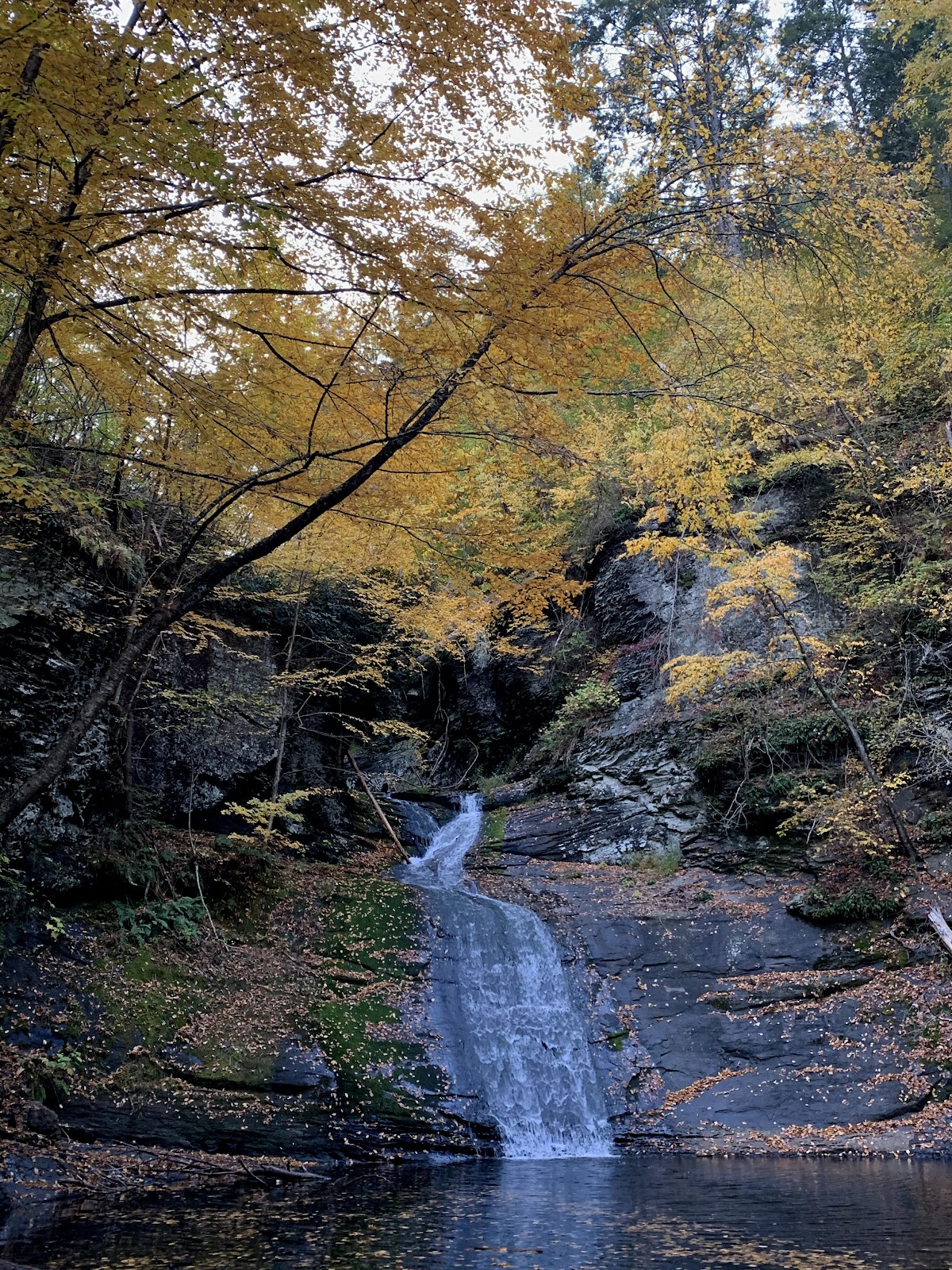 Hornbecks Creek