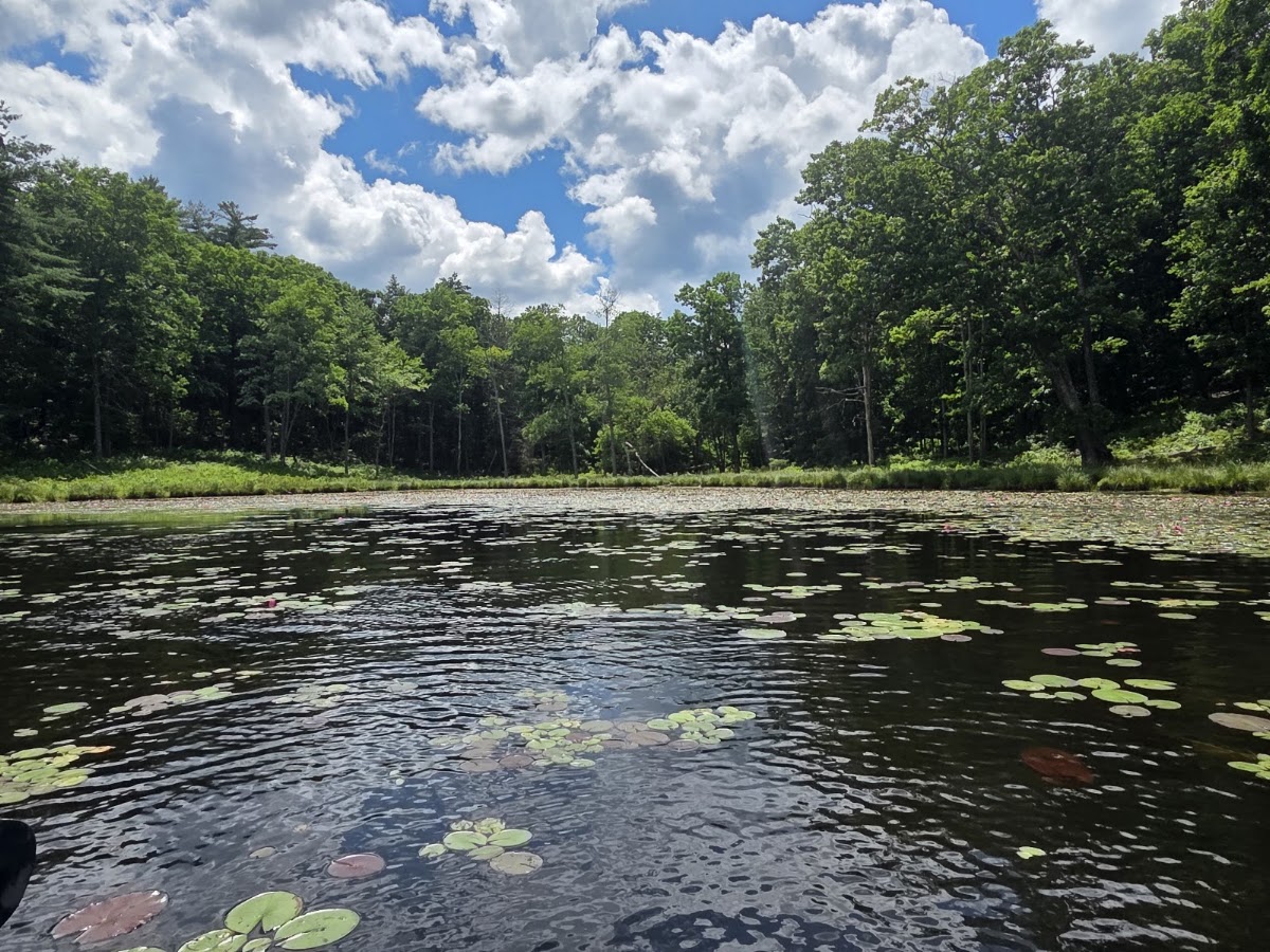 Sunny Hill Lake
