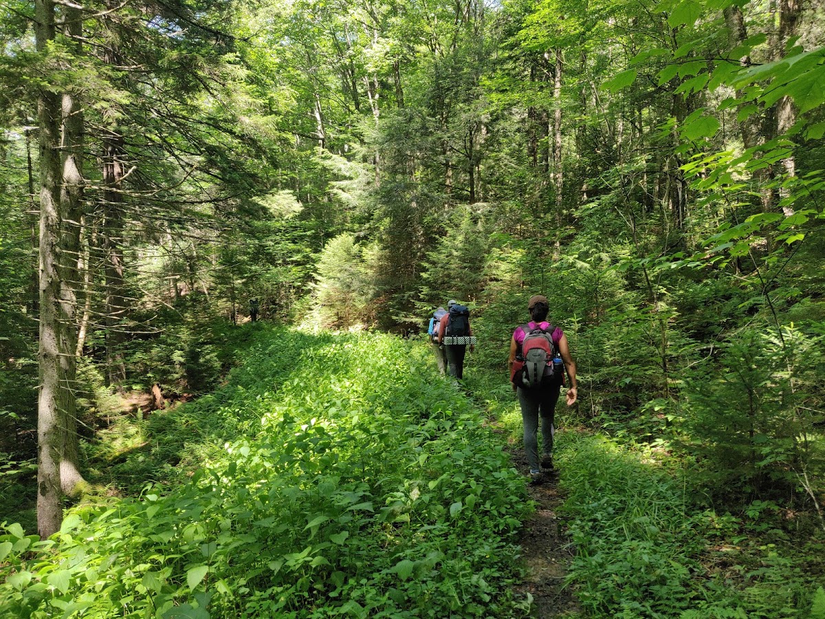 North-South Trail