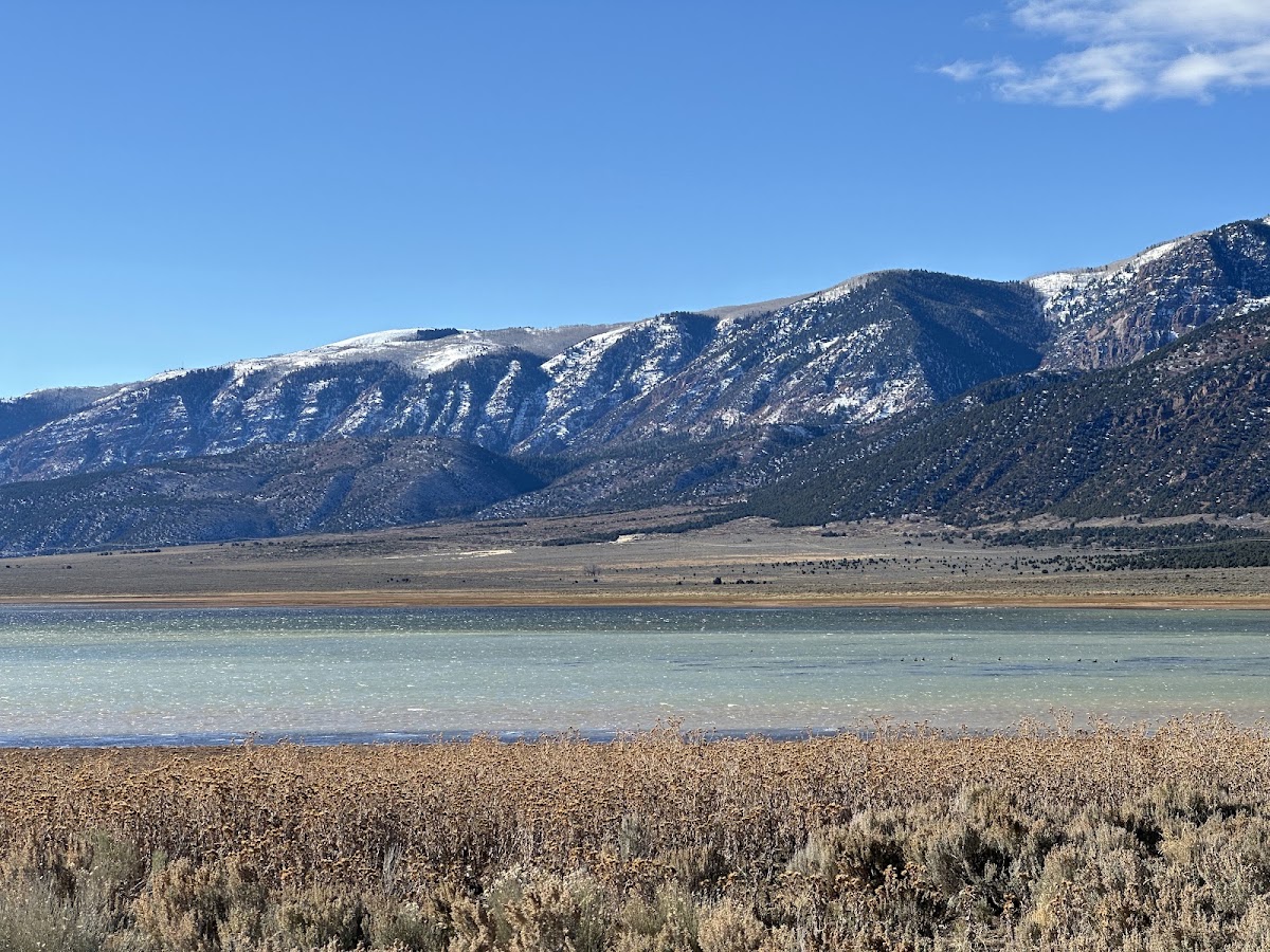 Scipio Lake