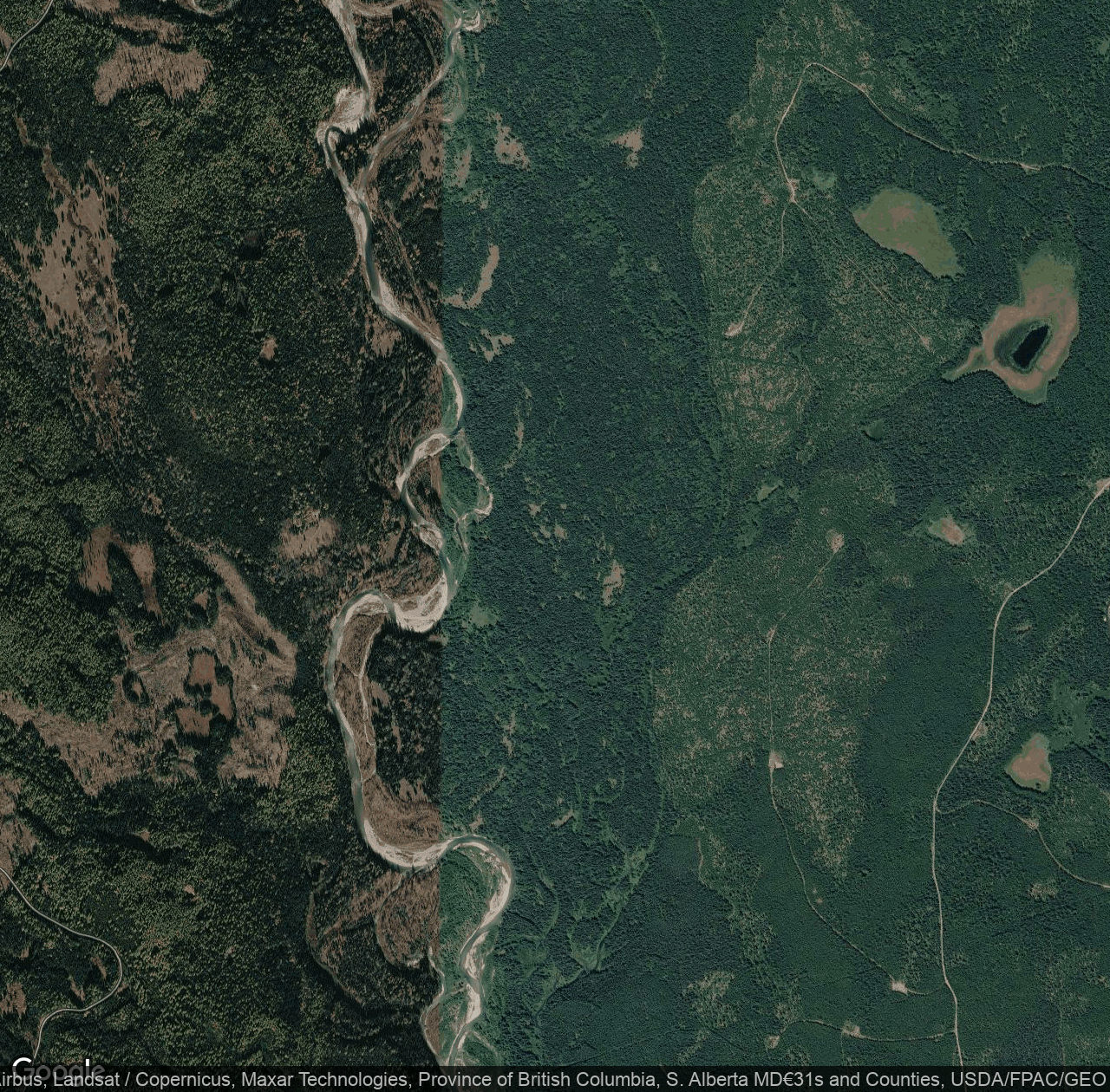 Flathead River