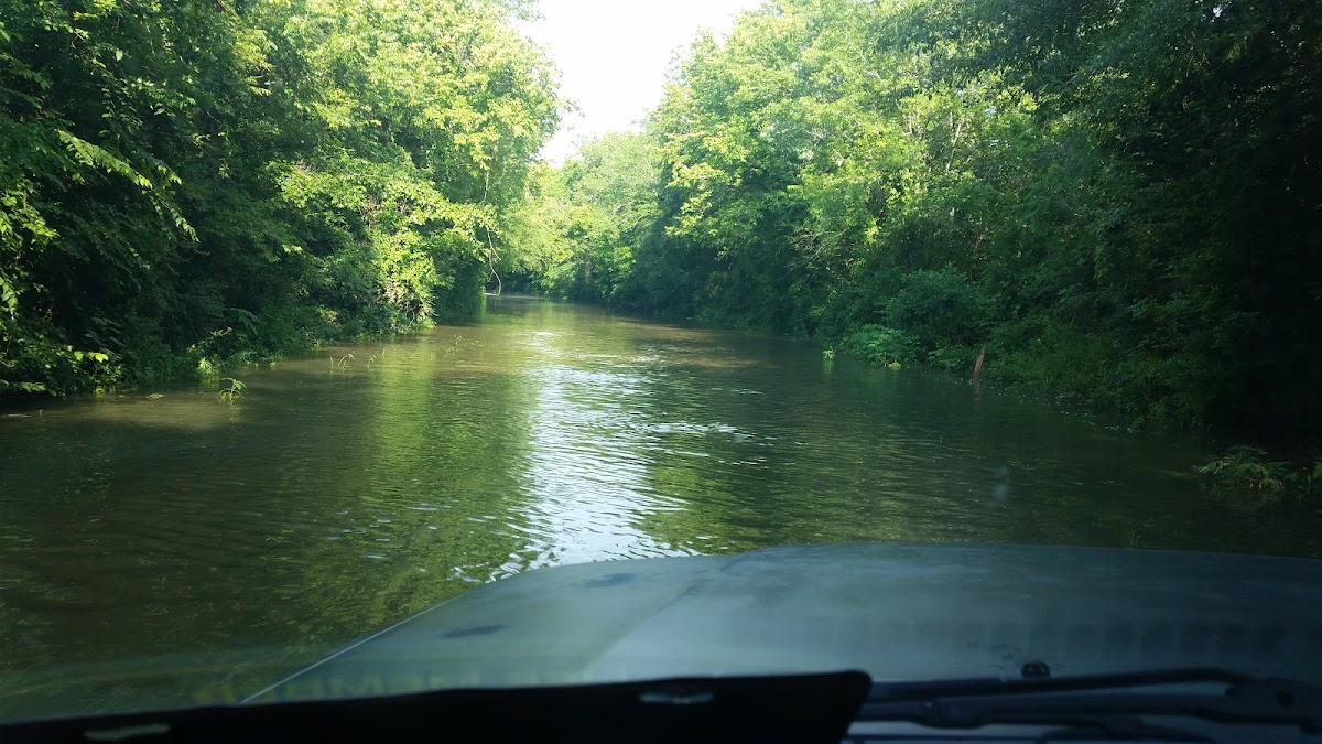 Paint Rock River