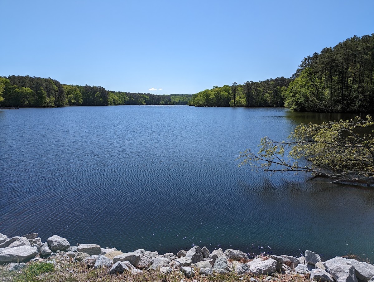Natchez Trace State Resort Park