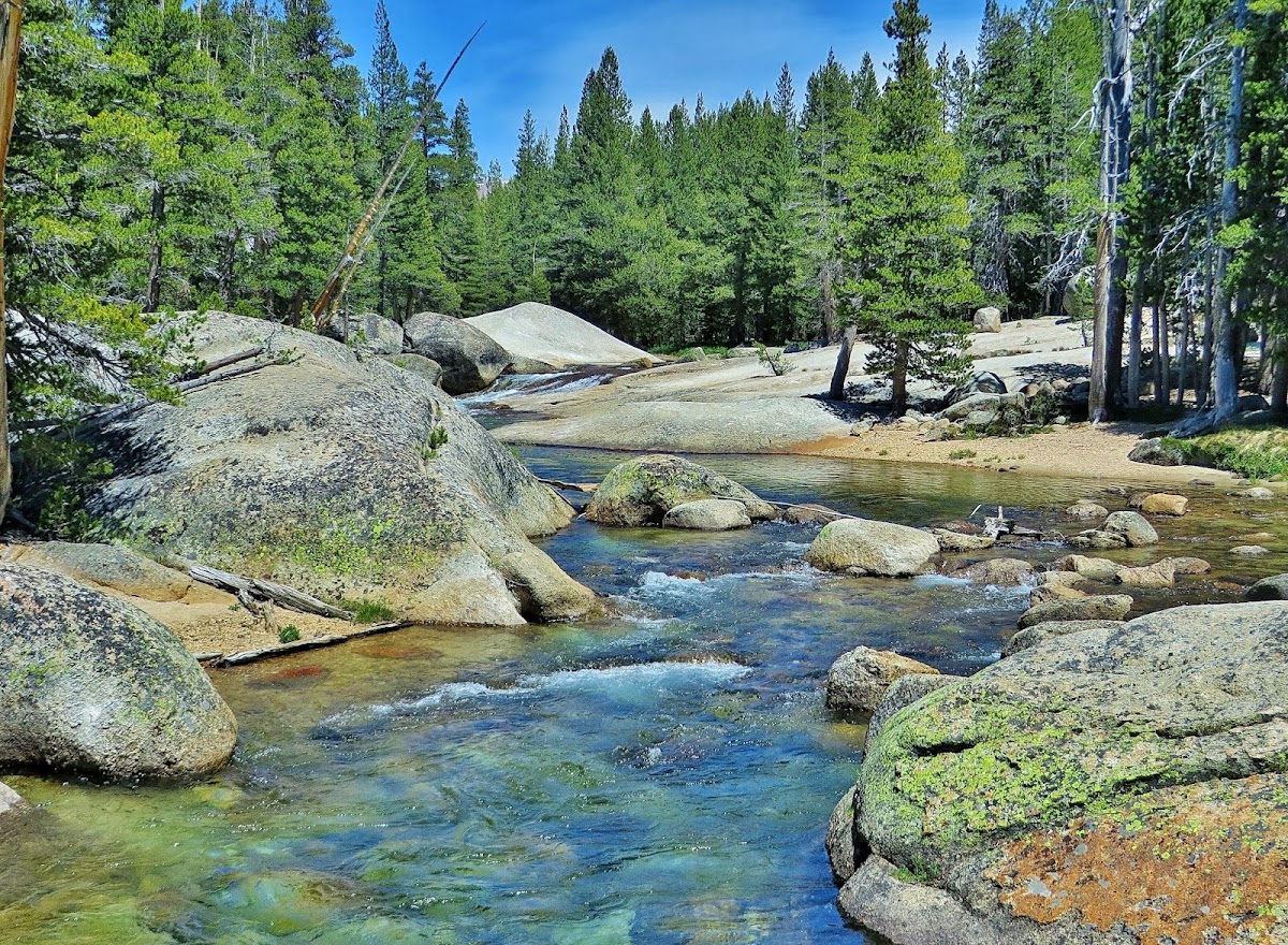 Lyell Fork