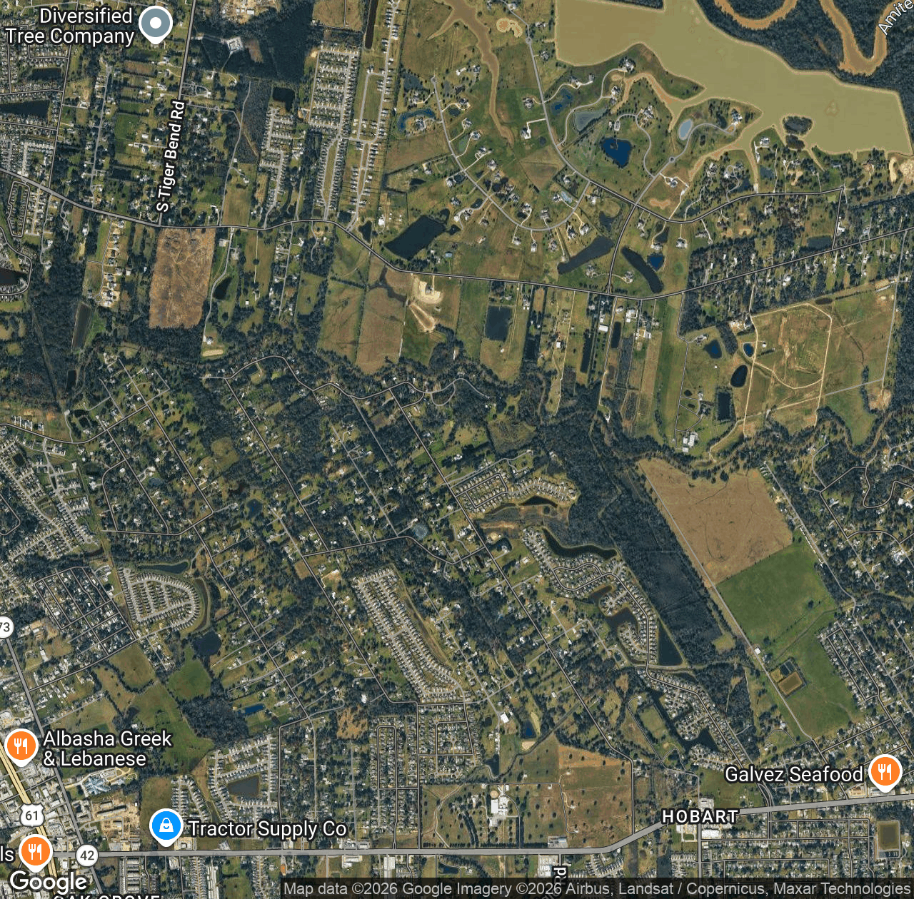 Bayou Manchac