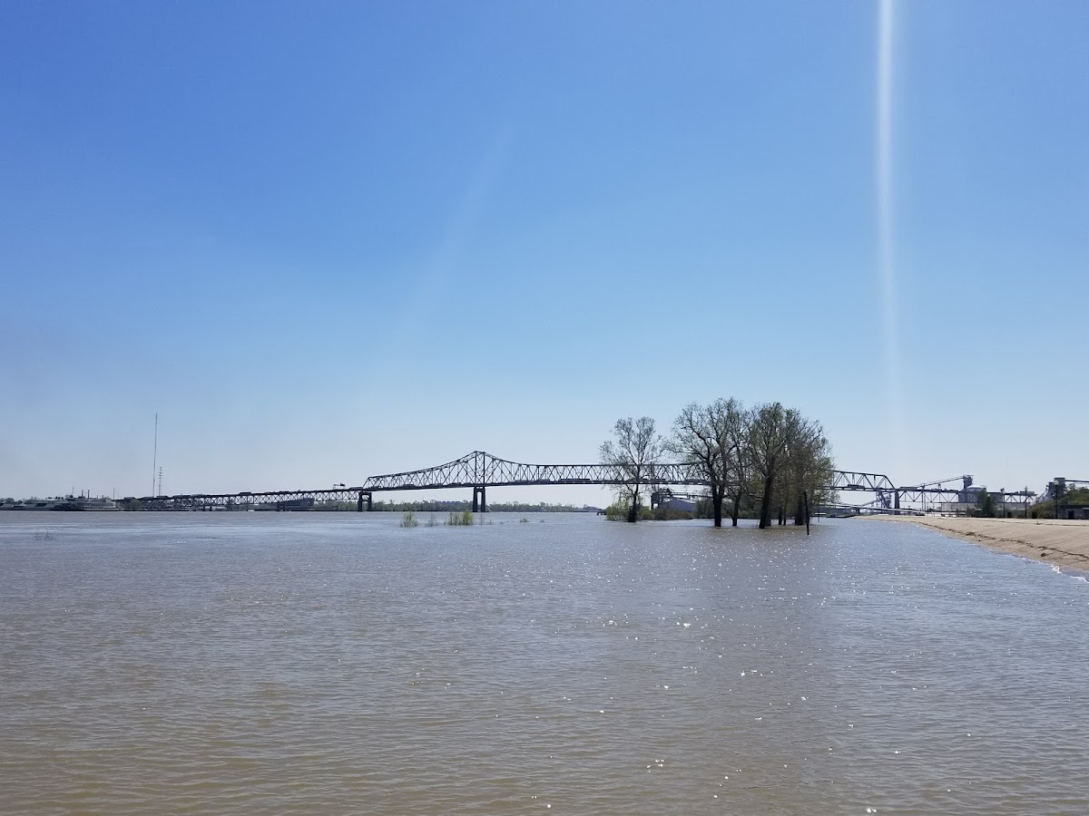 La Grue Bayou